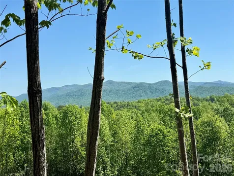 0 Doe Hallow Trail Nebo NC 28761