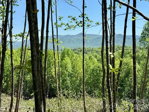 0 Doe Hallow Trail Nebo NC 28761
