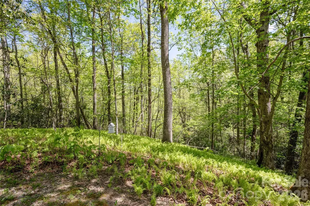 139 Panther Gap Road Brevard NC 28712