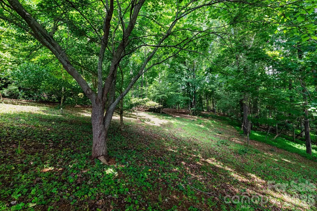 44 Deer Meadows Drive Candler NC 28715