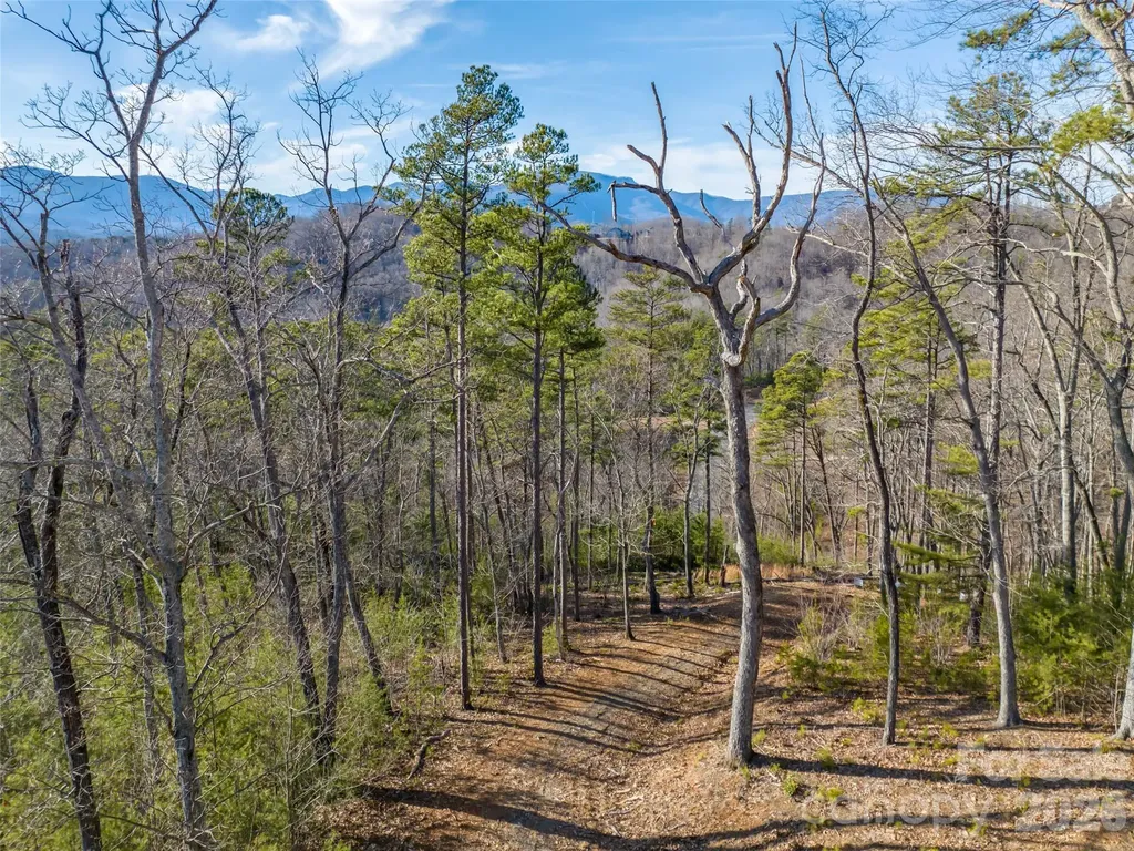 223 Rock Ledge Drive Lake Lure NC 28746