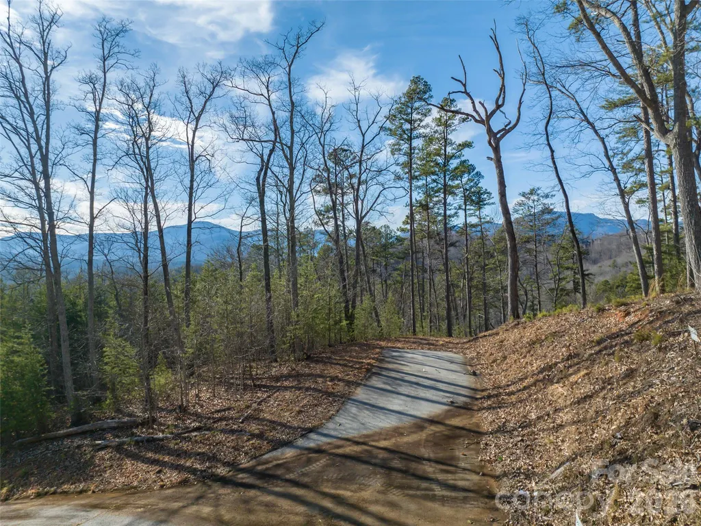 223 Rock Ledge Drive Lake Lure NC 28746