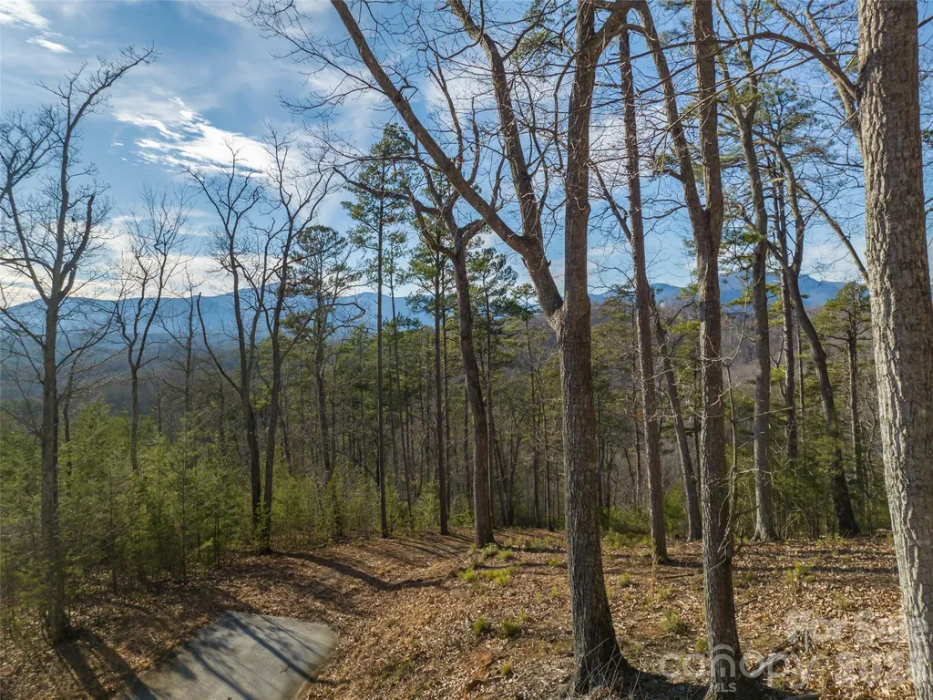 223 Rock Ledge Drive Lake Lure NC 28746