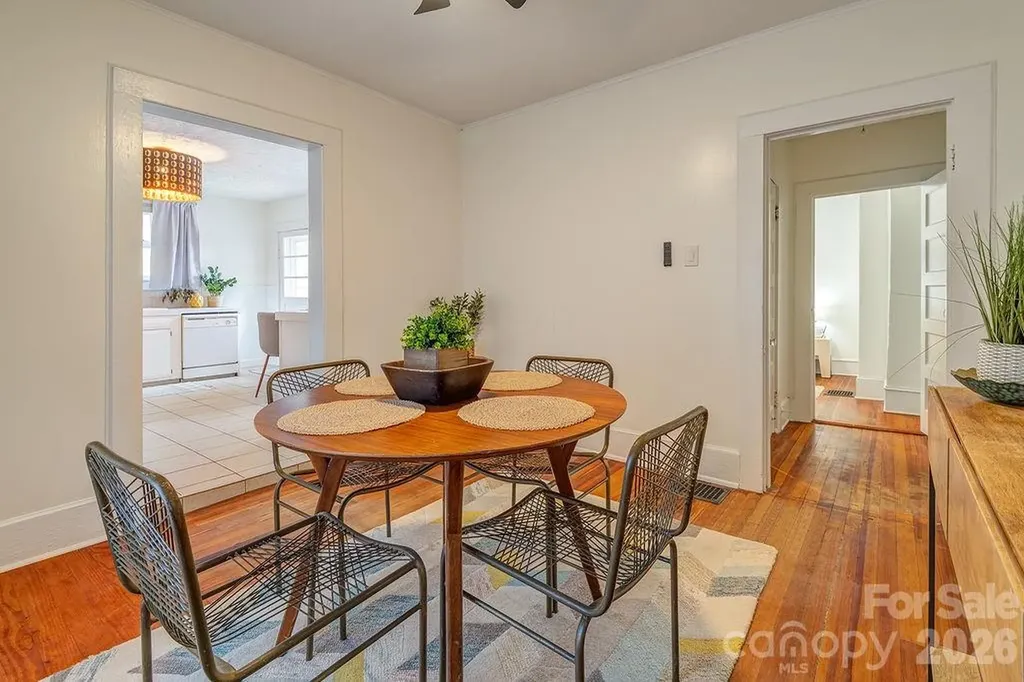 3 Irving Street Asheville NC 28804