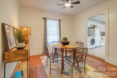 3 Irving Street Asheville NC 28804