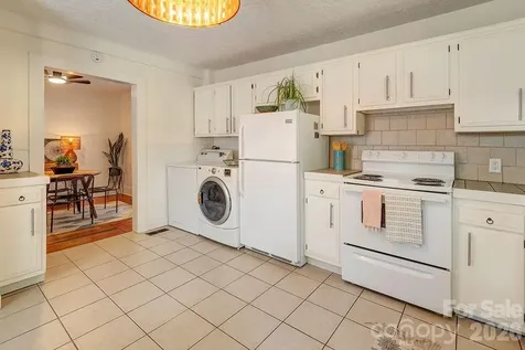 3 Irving Street Asheville NC 28804
