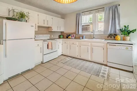 3 Irving Street Asheville NC 28804