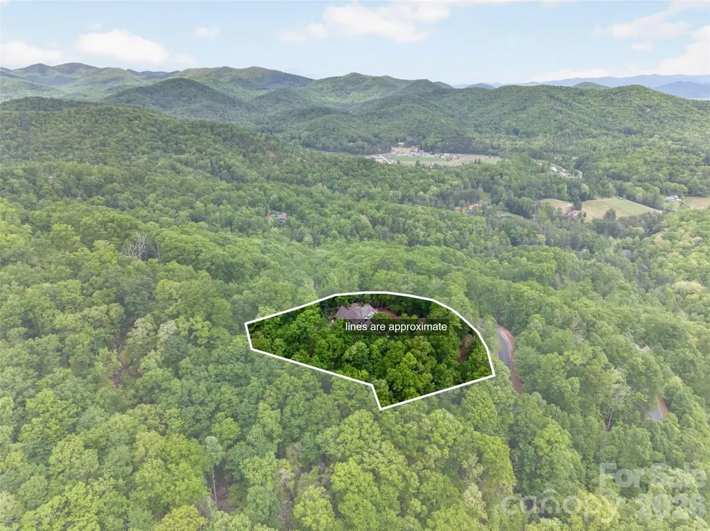671 Mills River Way Horse Shoe NC 28742
