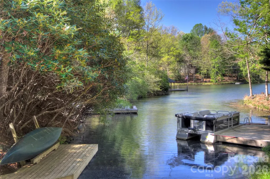 960 Middle Connestee Trail Brevard NC 28712