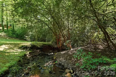 16 Shadow Brook Drive Flat Rock NC 28731