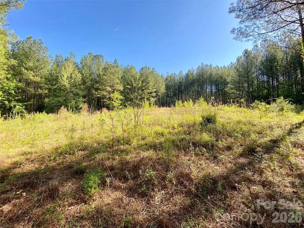 0 Walking Horse Trail Rutherfordton NC 28139