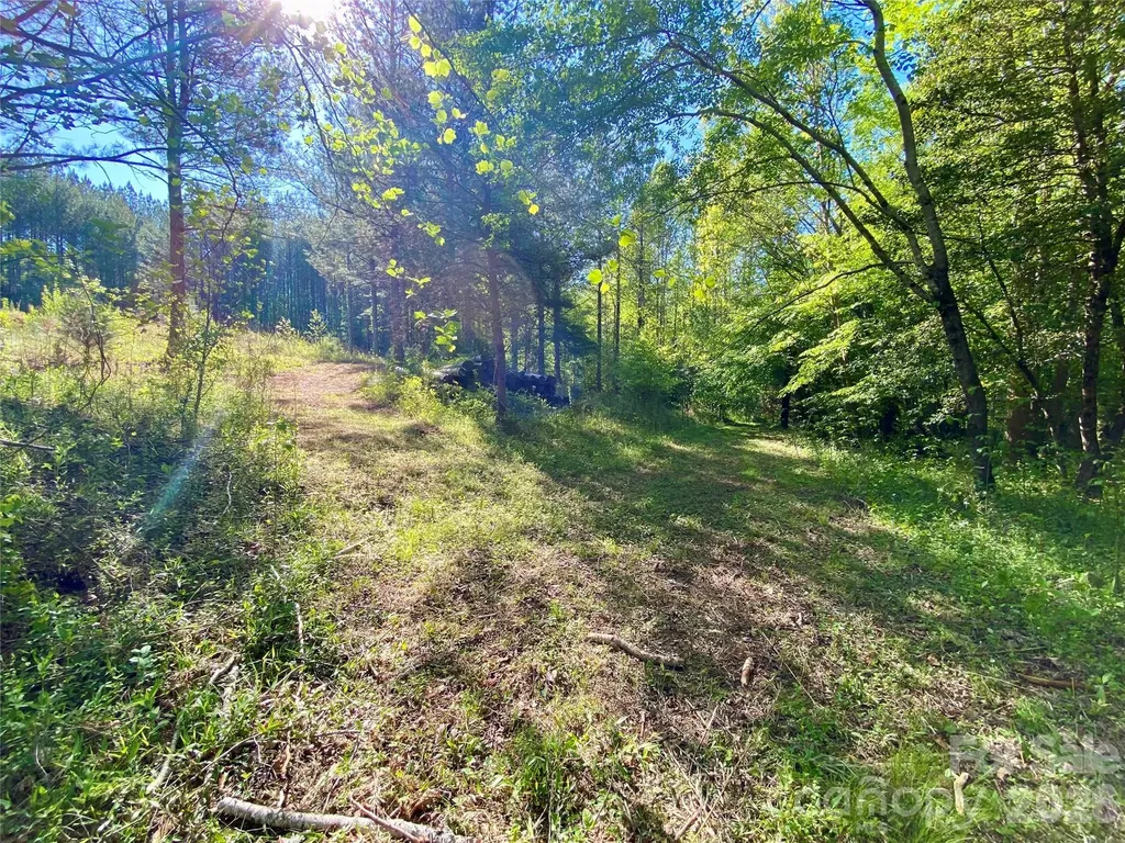 0 Walking Horse Trail Rutherfordton NC 28139