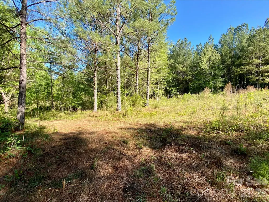 0 Walking Horse Trail Rutherfordton NC 28139
