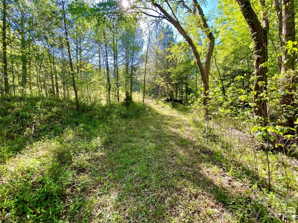 0 Walking Horse Trail Rutherfordton NC 28139