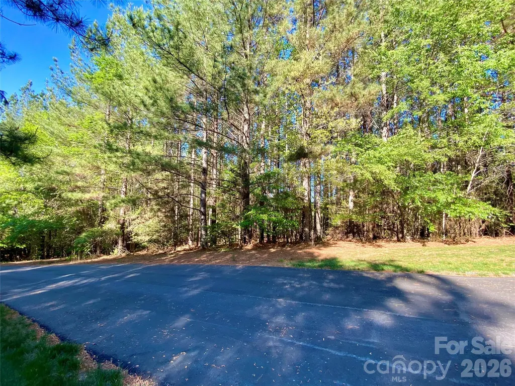 0 Walking Horse Trail Rutherfordton NC 28139