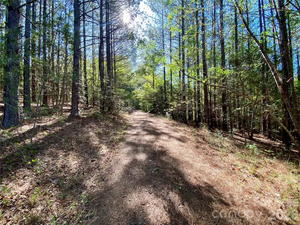 0 Walking Horse Trail Rutherfordton NC 28139