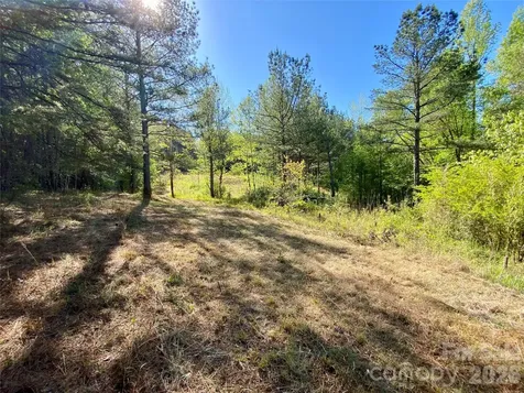 0 Walking Horse Trail Rutherfordton NC 28139