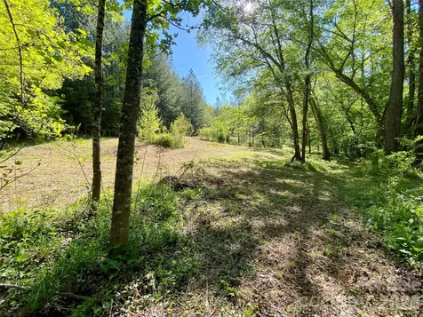 0 Walking Horse Trail Rutherfordton NC 28139
