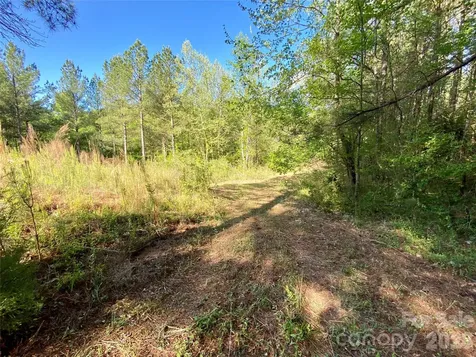0 Walking Horse Trail Rutherfordton NC 28139