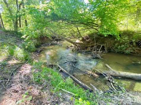 0 Walking Horse Trail Rutherfordton NC 28139