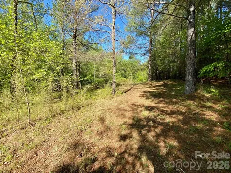 0 Walking Horse Trail Rutherfordton NC 28139