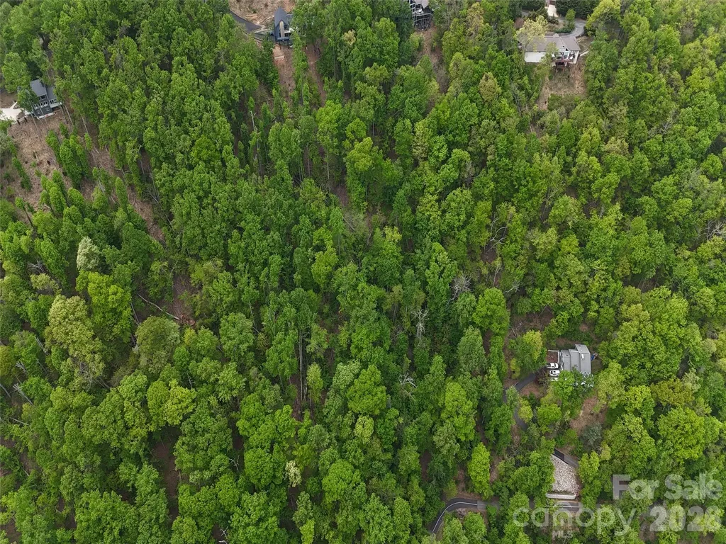 Lot #39 Poplar Drive Mills River NC 28759