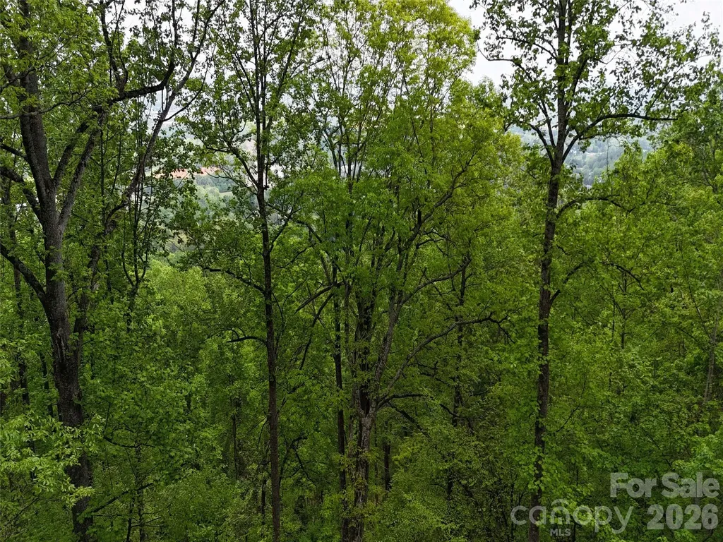 Lot #39 Poplar Drive Mills River NC 28759
