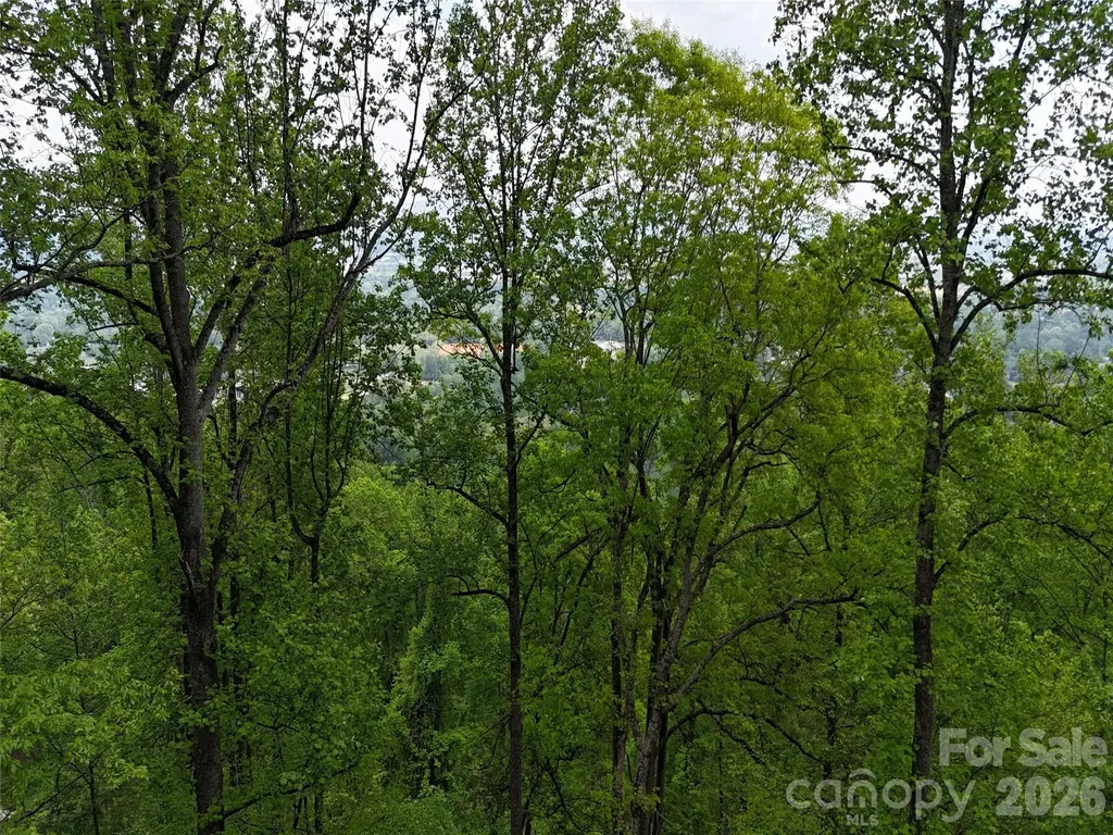Lot #39 Poplar Drive Mills River NC 28759