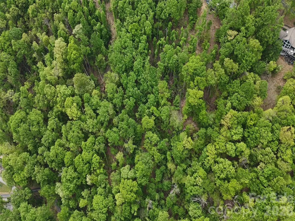 Lot #39 Poplar Drive Mills River NC 28759