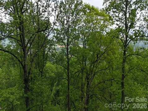 Lot #39 Poplar Drive Mills River NC 28759
