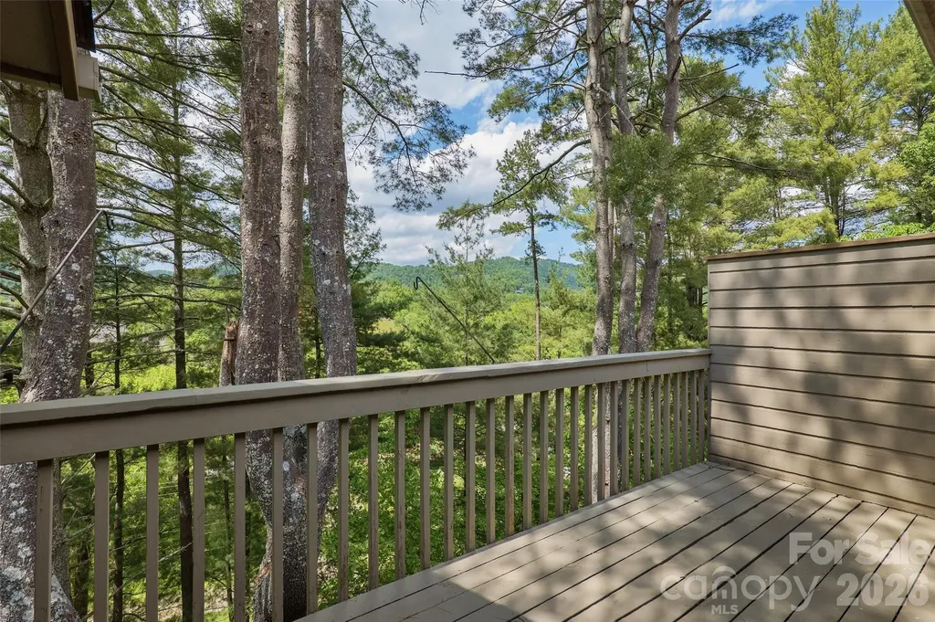 201 Timber Drive Asheville NC 28804