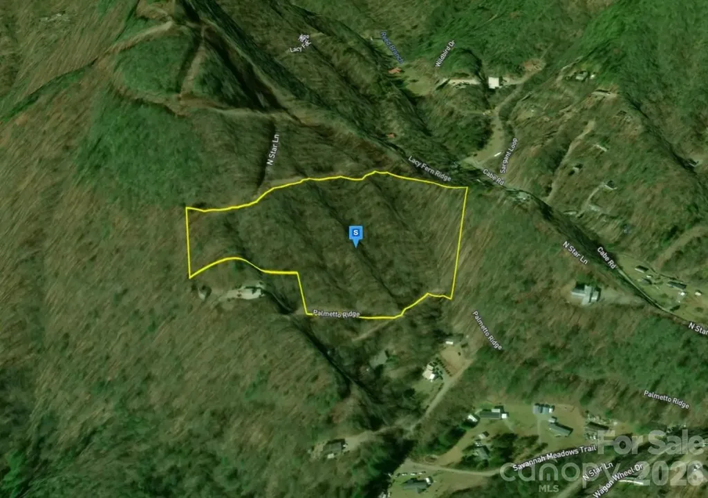 450 Palmetto Ridge Sylva NC 28779