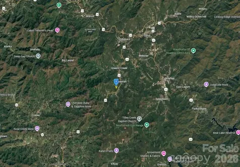 450 Palmetto Ridge Sylva NC 28779