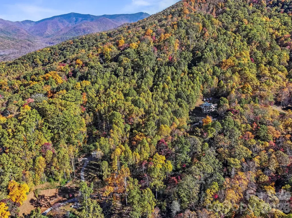 96 Old Cove Road Black Mountain NC 28711