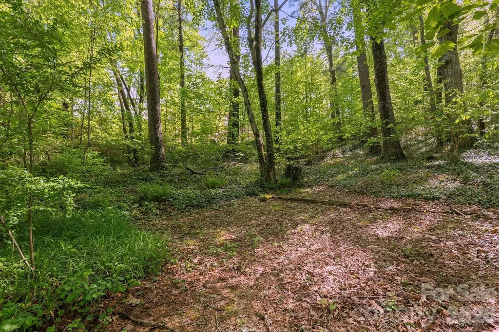 000 Skyline Drive Hendersonville NC 28791