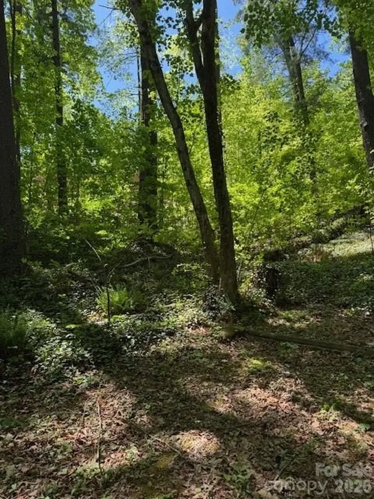 000 Skyline Drive Hendersonville NC 28791