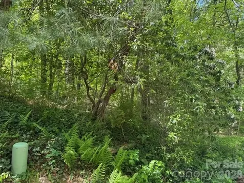 000 Skyline Drive Hendersonville NC 28791