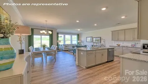 1217 White Birch Avenue Huntersville NC 28078