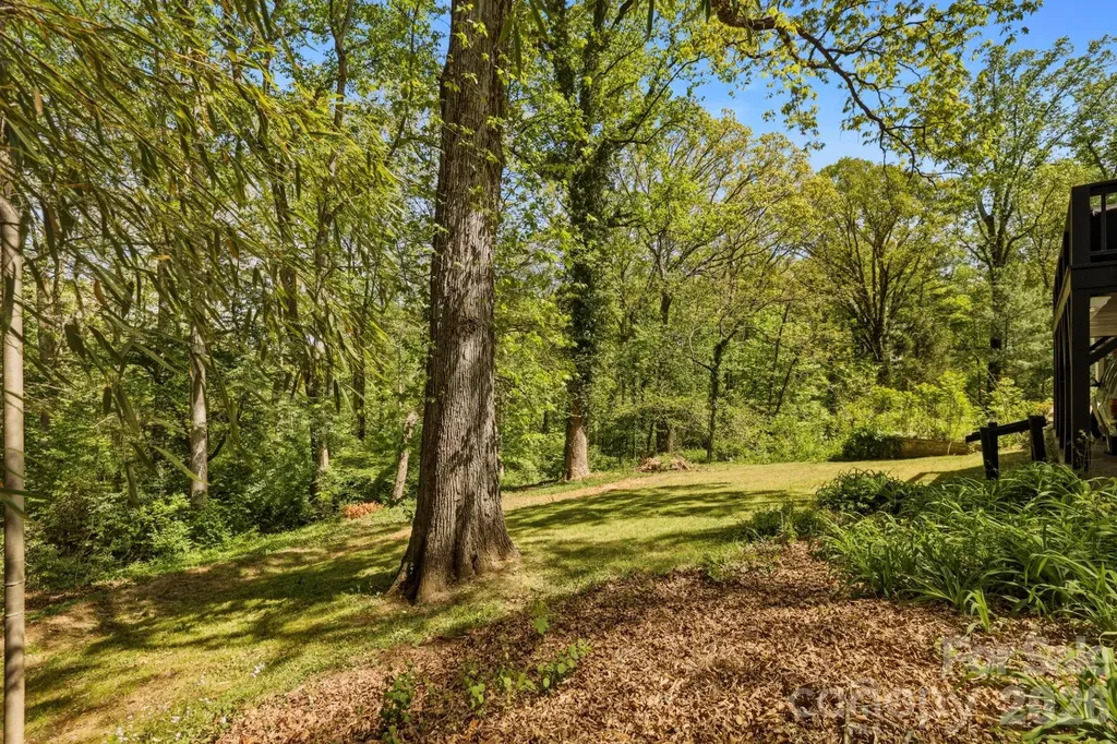 41 Chiles Avenue Asheville NC 28803