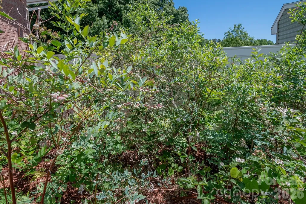 44446 Field Road New London NC 28127