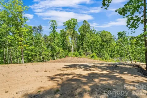 3135 Laurel Heights Drive Extension Morganton NC 28655