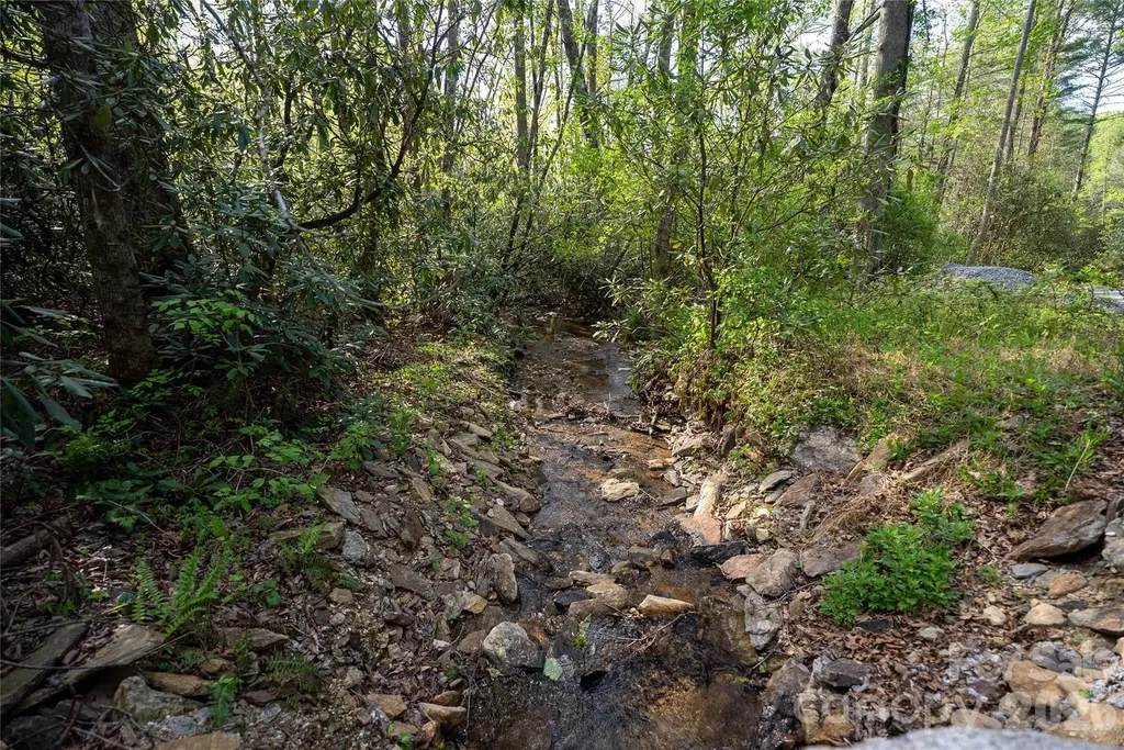 1412 N Bearwallow Road Fletcher NC 28732