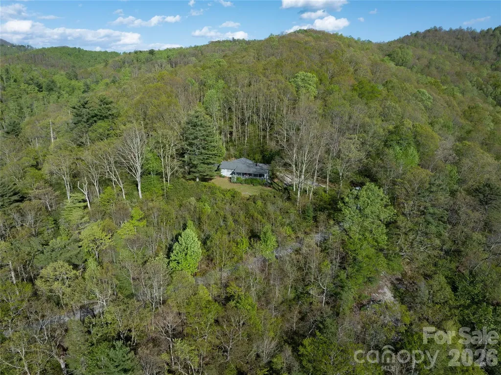 1412 N Bearwallow Road Fletcher NC 28732