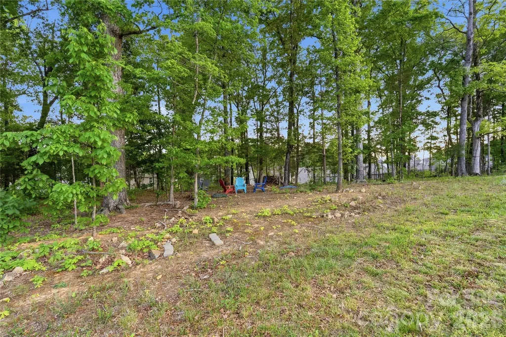 10158 Paper Birch Drive Charlotte NC 28215