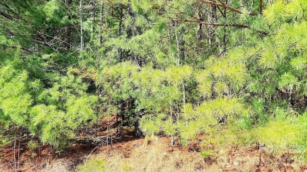 000 Jeter Mountain Road Hendersonville NC 28739
