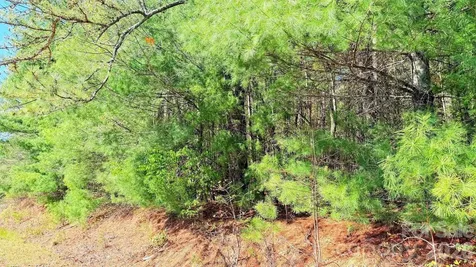 000 Jeter Mountain Road Hendersonville NC 28739