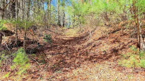 000 Jeter Mountain Road Hendersonville NC 28739