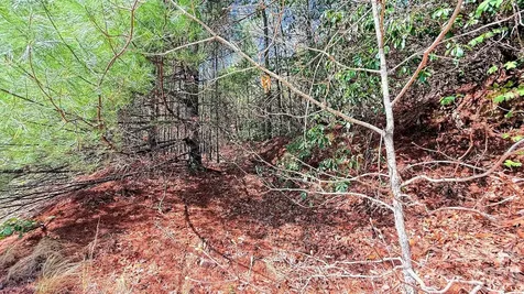 000 Jeter Mountain Road Hendersonville NC 28739