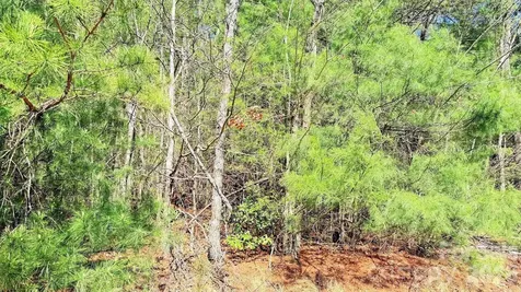 000 Jeter Mountain Road Hendersonville NC 28739
