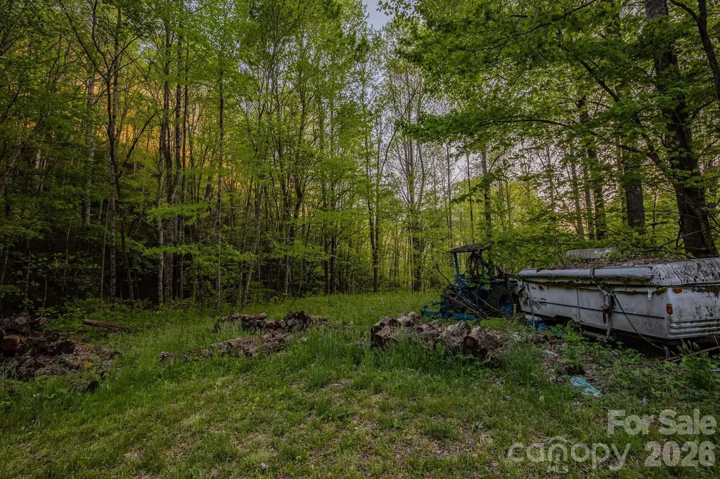 000 Unahala Creek Drive Bryson City NC 28713